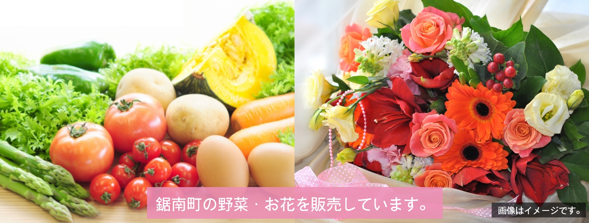野菜・花 通販